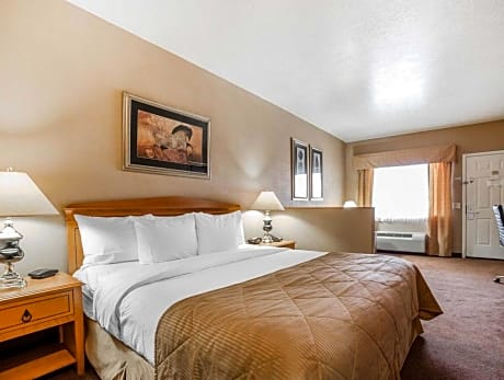 1 Bedroom King Suite