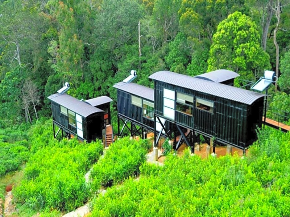 The Rainforest Ecolodge