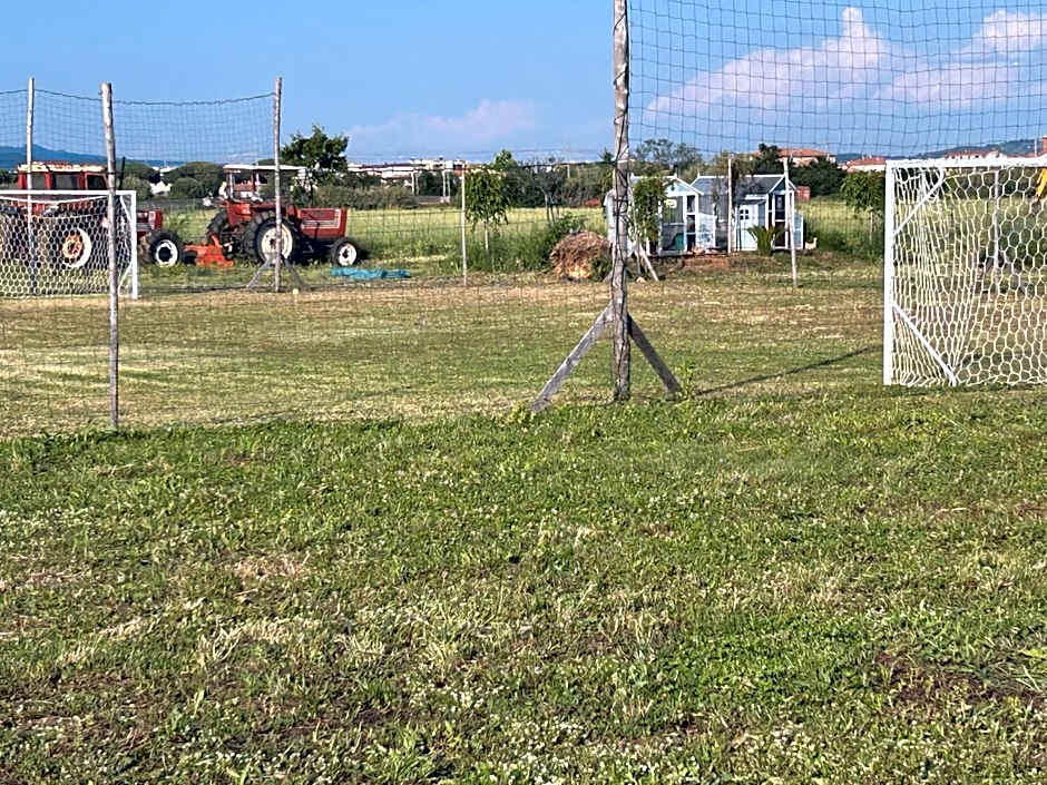 Fattoria Palazzeta - Pet & Family Friendly