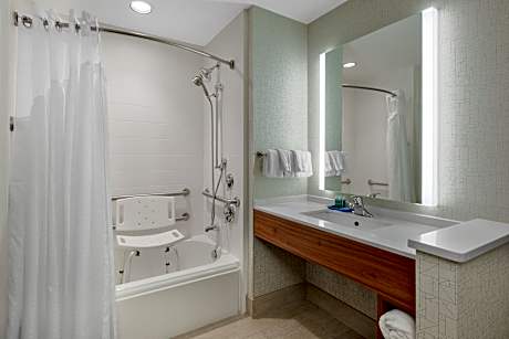 1 King Bed Standard Mobil Access Tub