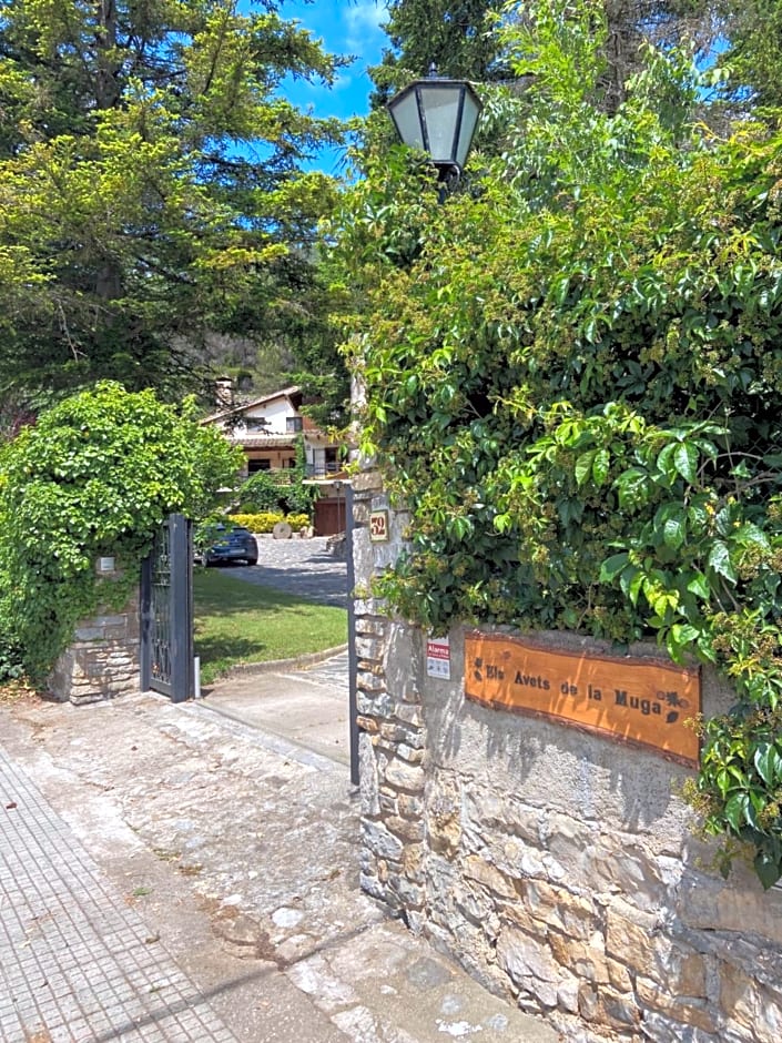 Els Avets de la Muga