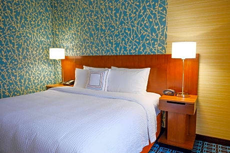 Room, 1 King Bed