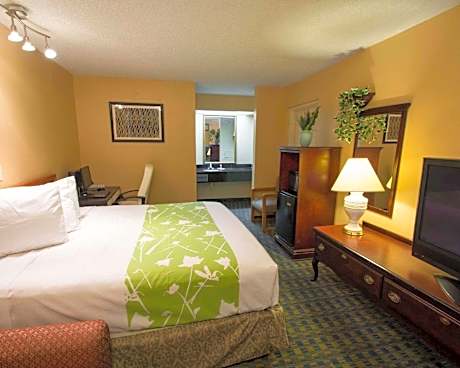 King Room - Non-Smoking