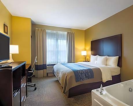 1 King Bed, Suite, Nonsmoking