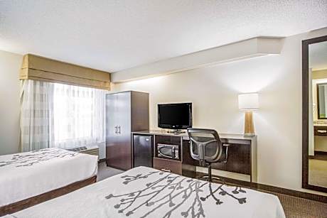 2 Double Beds Suite Nonsmoking Promotional