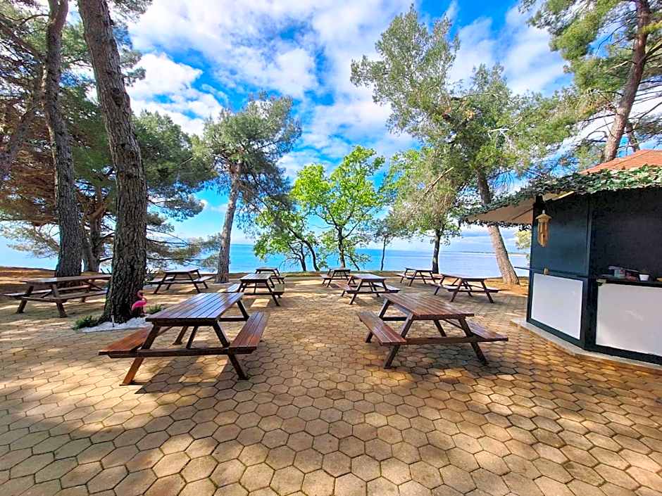 Youth Hostel Pinesta