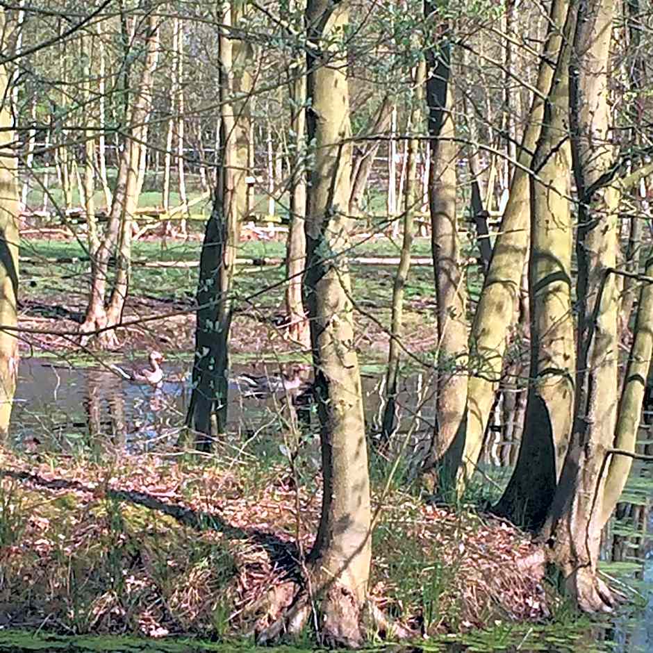 B&B Landgoed Bergerven