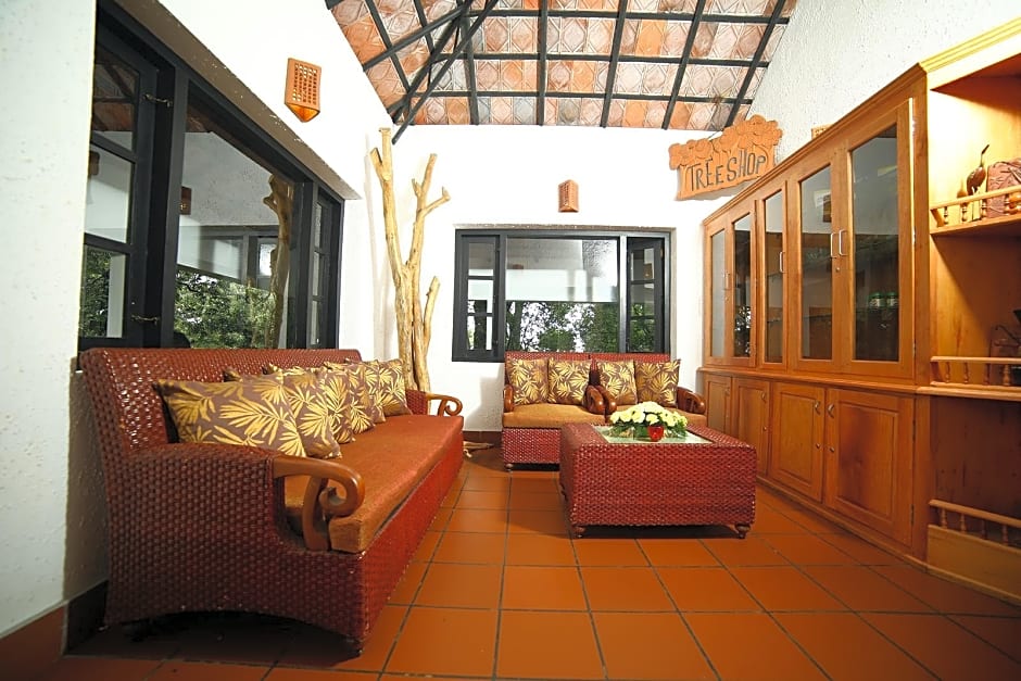 The Tall Trees Munnar