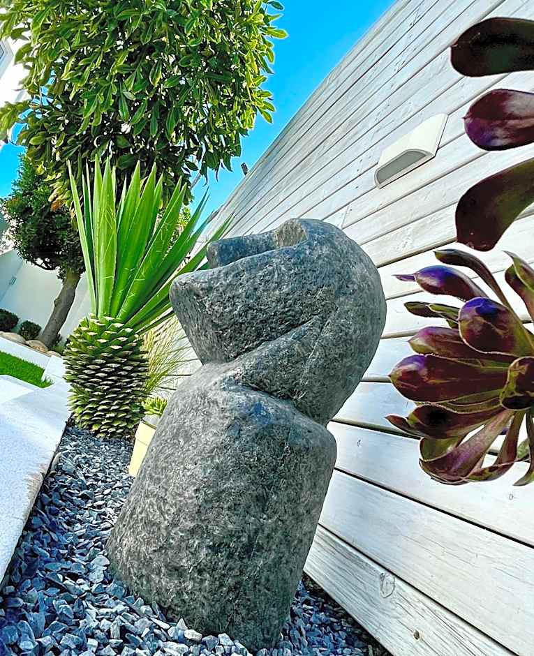 The Little Palm