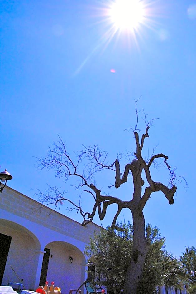 Agriturismo La Lucia