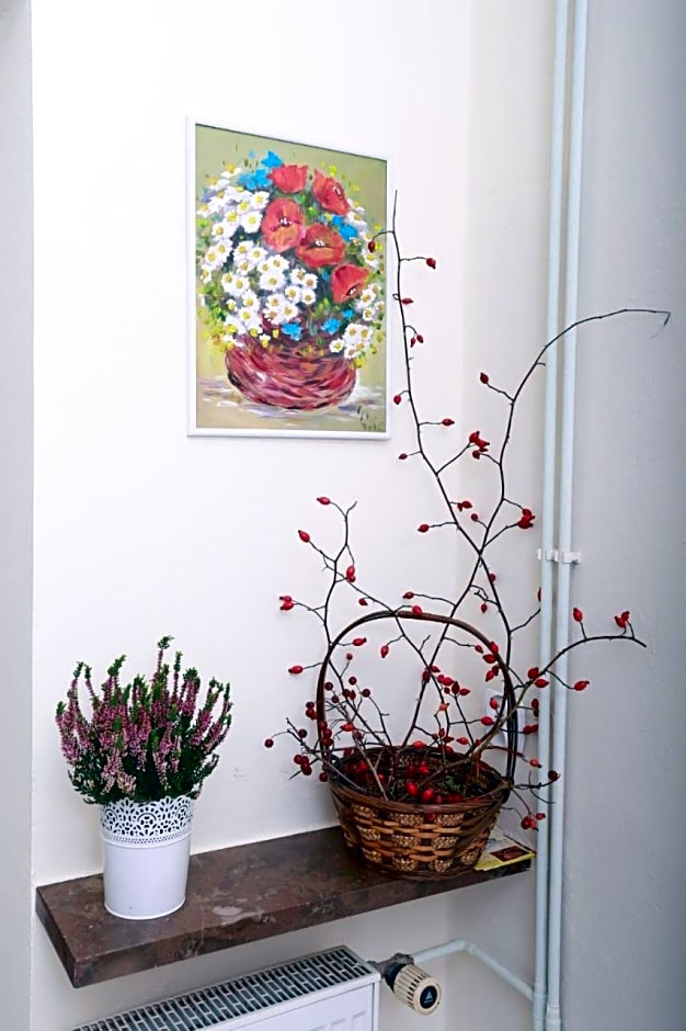 Willa Bona blisko Zamku Królewskiego i Rezerwatu zapraszam na grę miejską Magiczne Chęciny