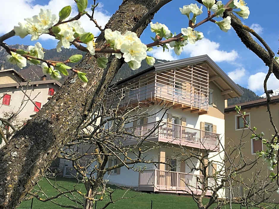 B&B Il Piccolo Principe room and breakfast