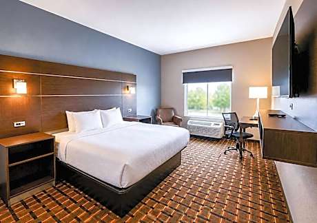 King Room with Transfer Shower - Accessible/Non-Smoking