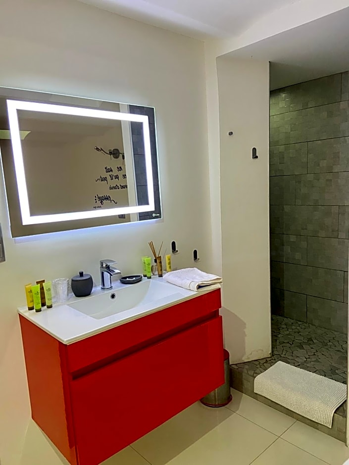 Super Loft with terrasse in the heart of NICE