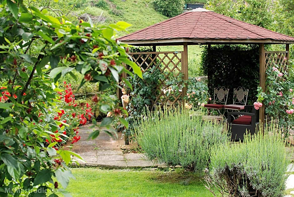 Hotel Calvi-Ristorante Mainor