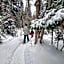 Le Rassembleur