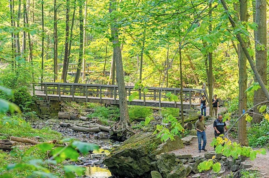 Staybridge Suites Hamilton - Downtown By IHG