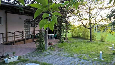 Rose Canine B&B