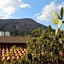 Casa Schmidt