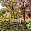 Club del Sole Viareggio Family Collection