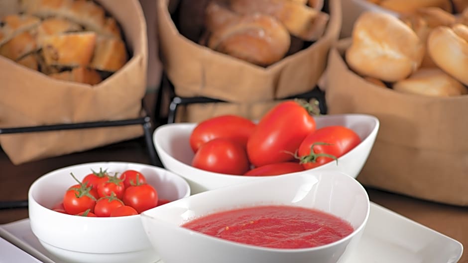 NH Collection Caceres Palacio de Oquendo