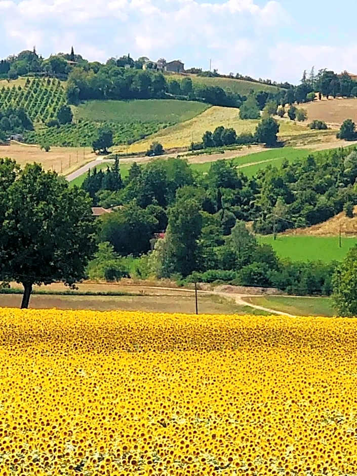 Casa Stella Country House