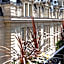 Mercure Paris La Sorbonne Saint Germain des Pres Hotel