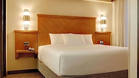 Guestroom King with Sofa Bed
