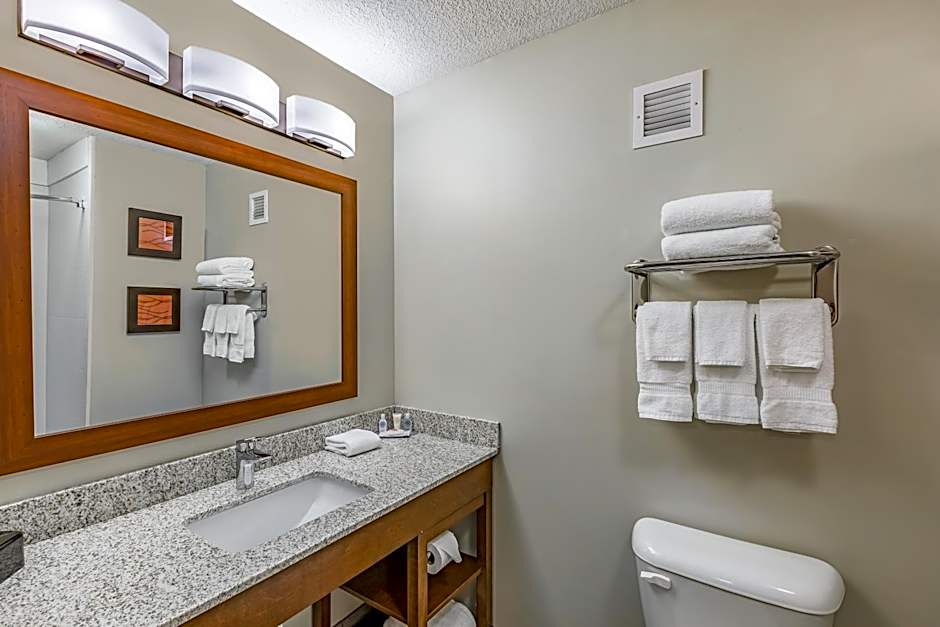 Comfort Inn Altoona-Des Moines