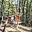 Eco Village In The Forest