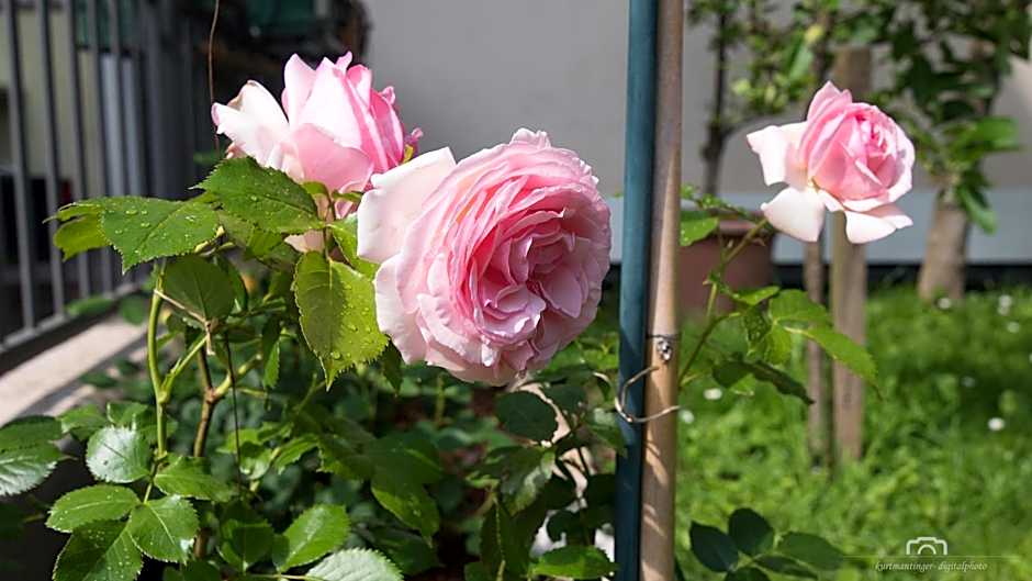 Kreuzstein Bed&Breakfast