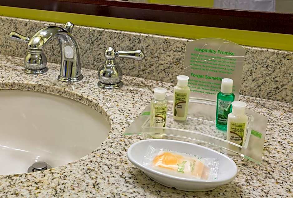 Holiday Inn Hotel French Quarter-Chateau Lemoyne By IHG