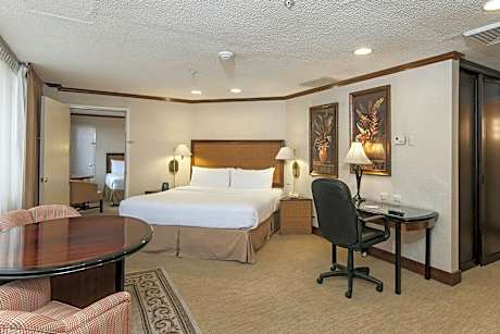 Presidential Suite, 1 King, Sofa bed, City view