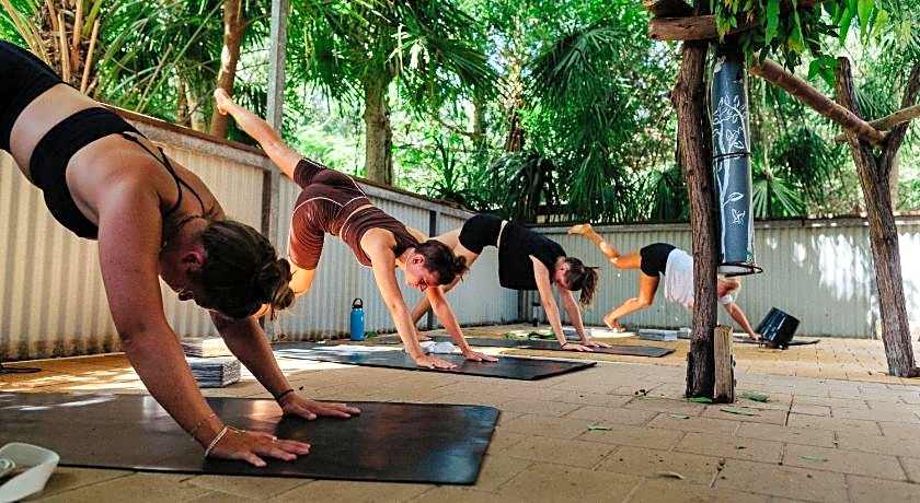 Koala Park by Bounce