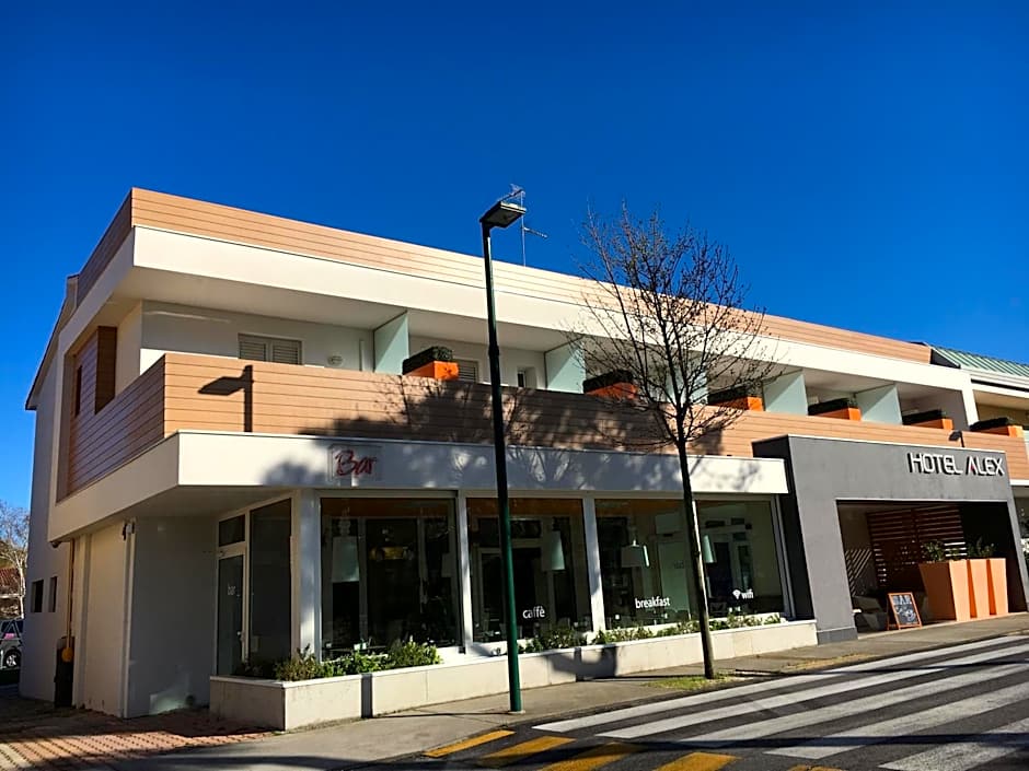 Hotel Alex
