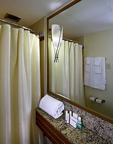 Suite, 1 Bedroom (1 King Bed and 1 Double Sofa Bed)