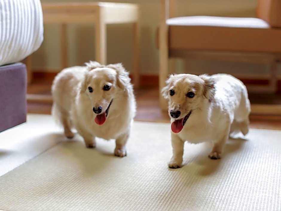 KAMENOI HOTEL SHIOBARA Dog Friendly Hotel