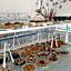 Hotel Atis