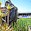 Best Western Ascot Lodge Motor Inn