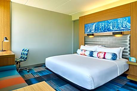 Room, 1 King Bed (Mobility Accessible, Roll-In Shower) (1 King Bed)