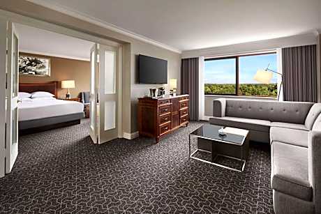 Junior King Suite with Kitchen