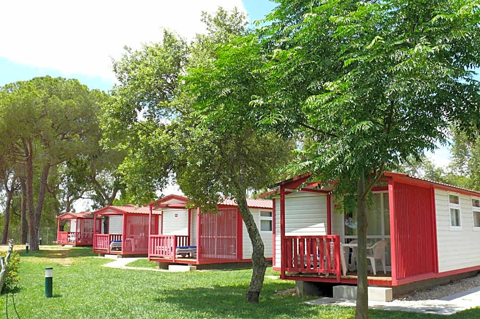 Parque de Campismo Orbitur Montargil