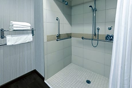 1 Queen Mobility Accessible W/Rollin Shower