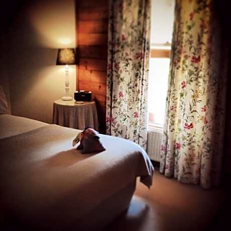 Queen Suite