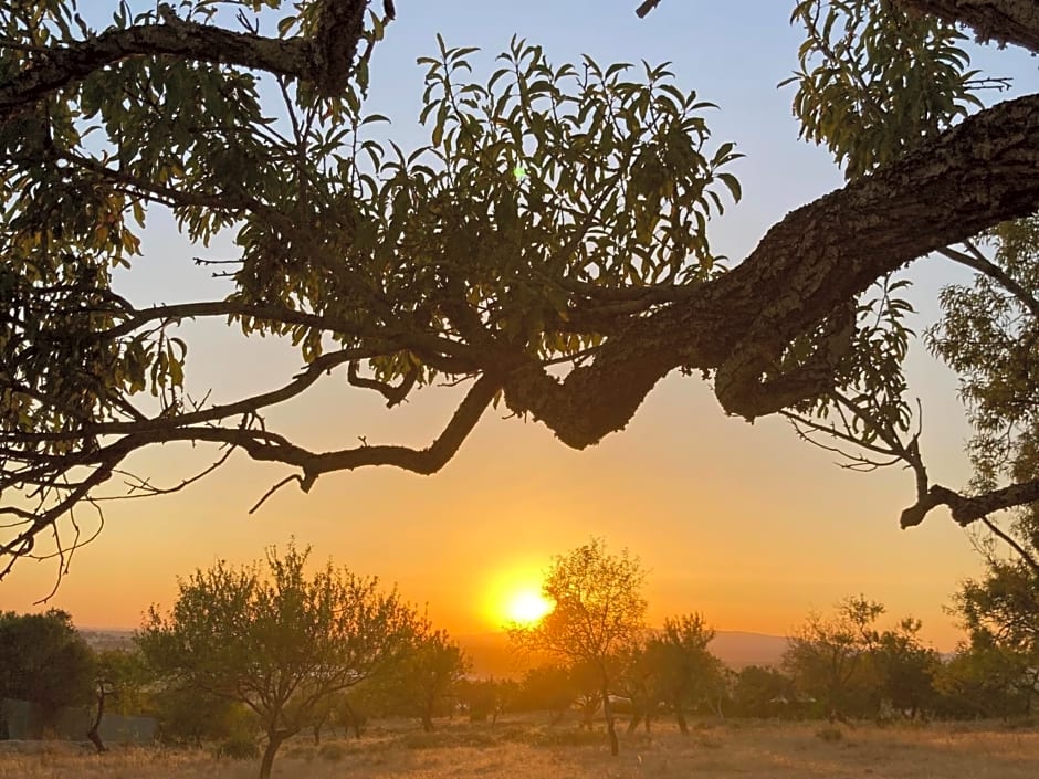 Villa Tranberg Suites