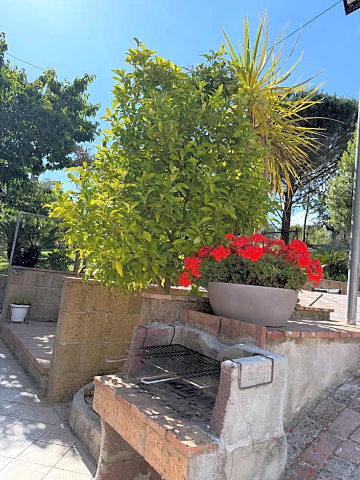 A Casa di nonna Emilia