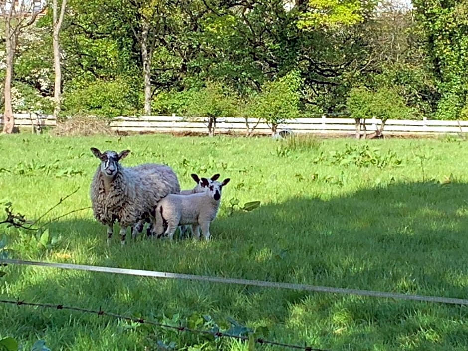 The Old Dairy at Walkmill Farm
