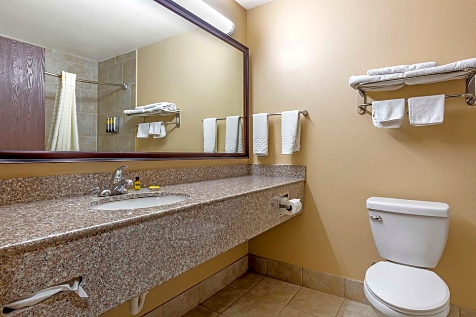 Best Western Plus Burleson Inn & Suites