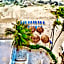 Pelicano Inn Playa del Carmen - Beachfront Hotel