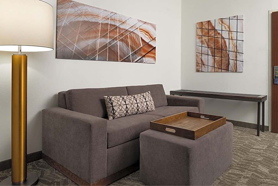 SpringHill Suites by Marriott Kansas City Overland Park